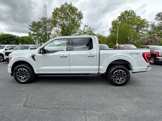 Certified 2023 Ford F150 XLT w/ Equipment Group 302A High AWD/4WD image 8