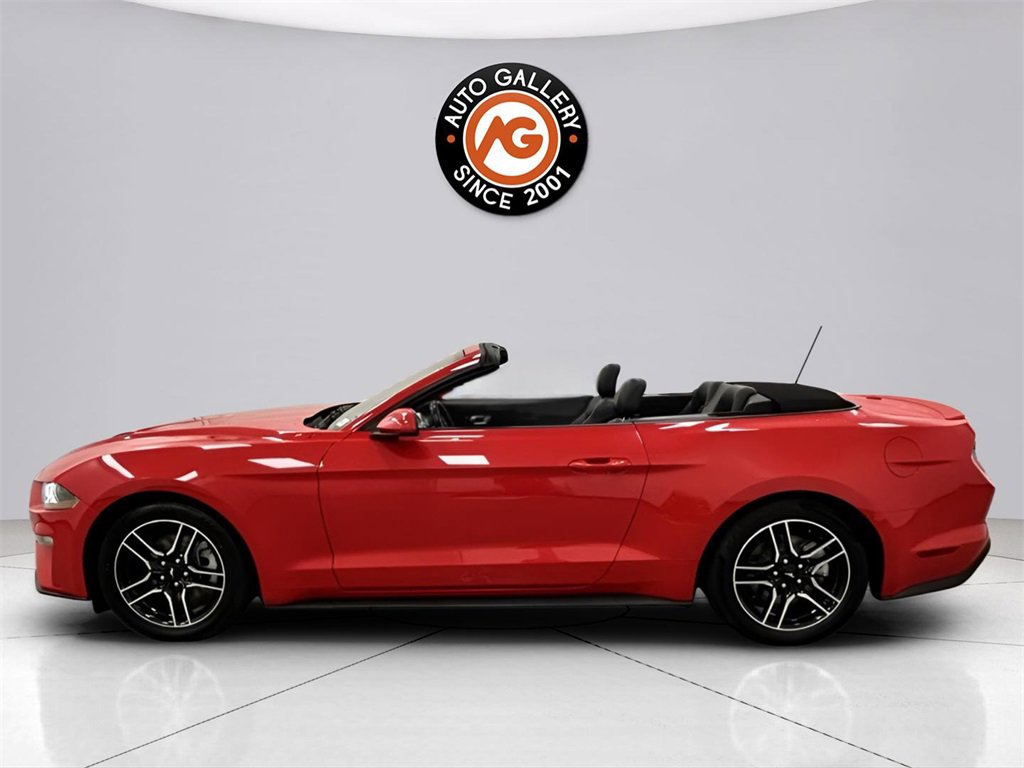 Used 2023 Ford Mustang Premium image 9