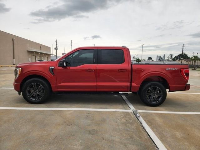 Used 2023 Ford F150 XLT w/ Equipment Group 302A High RWD image 4