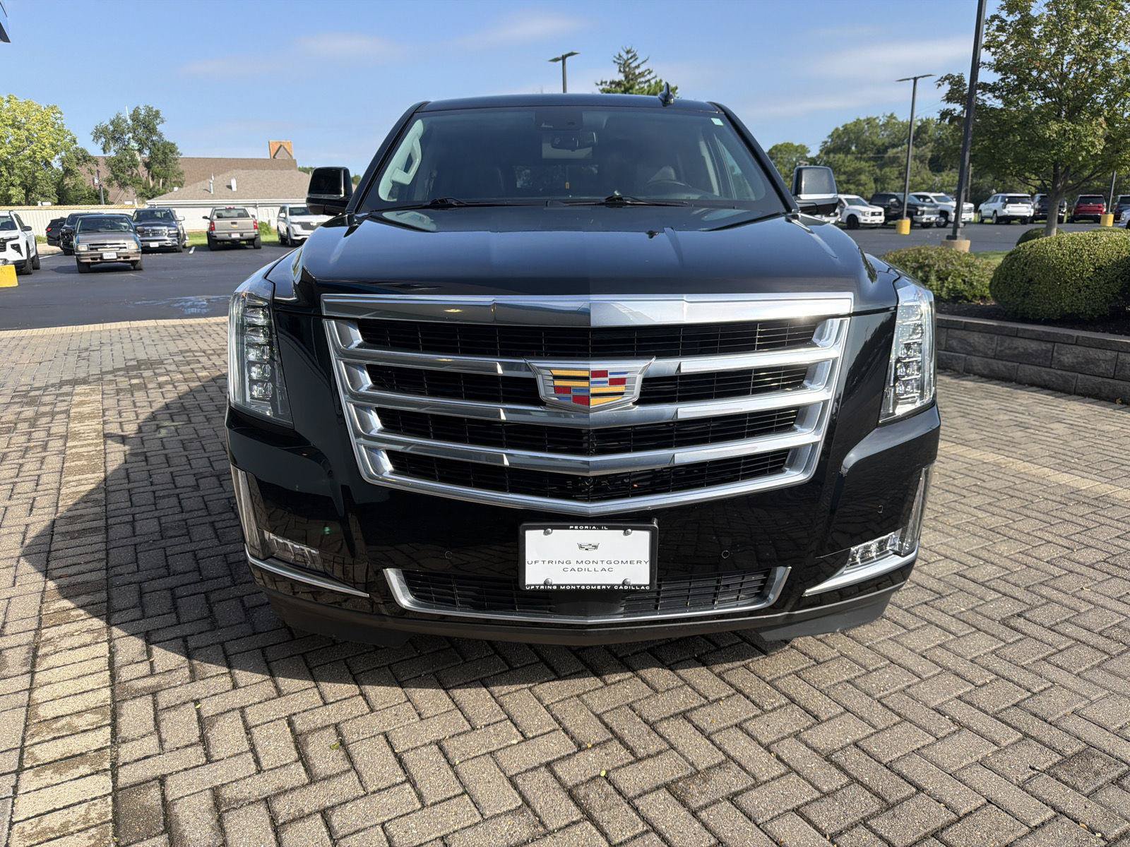 Used 2020 Cadillac Escalade Premium Luxury AWD/4WD image 8