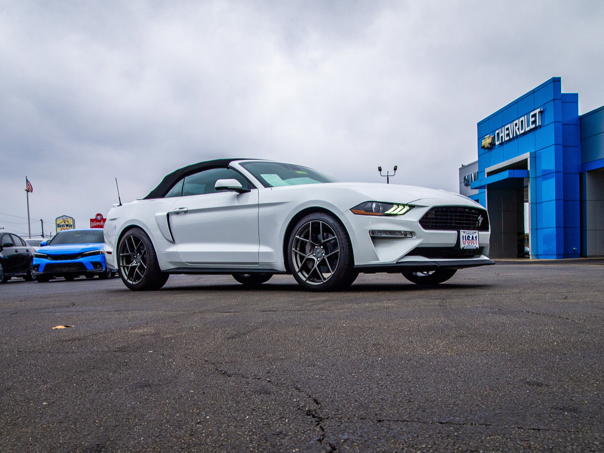Used 2019 Ford Mustang GT Premium w/ Equipment Group 401A RWD image 9