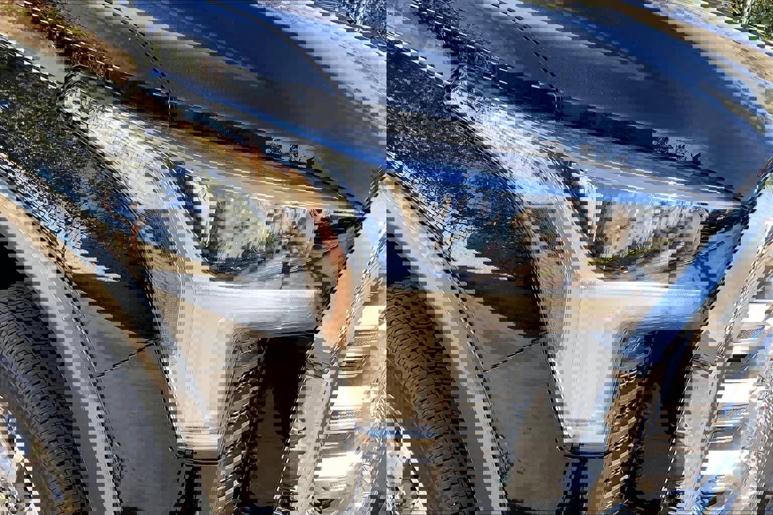 New 2026 Toyota Tundra 1794 Edition image 13