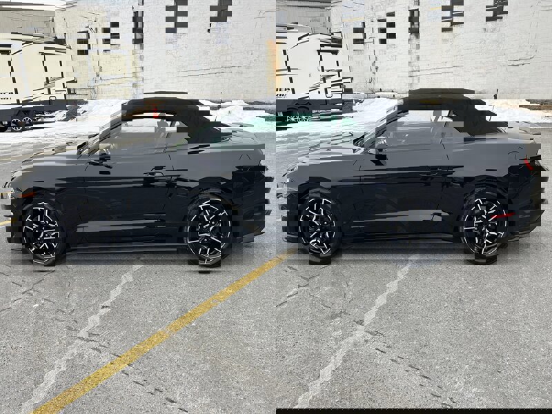 Used 2018 Ford Mustang Premium image 6