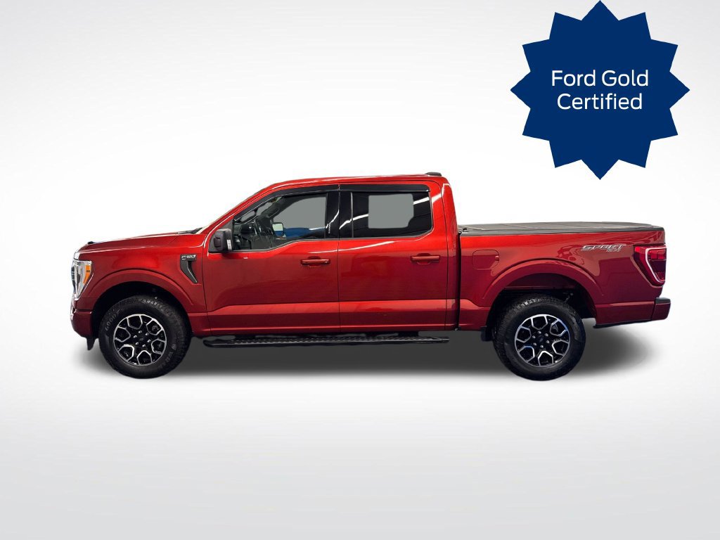Used 2023 Ford F150 XLT w/ Equipment Group 302A High AWD/4WD image 2