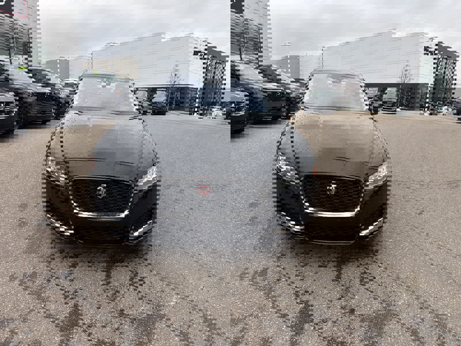 Used 2020 Jaguar XF Prestige image 2