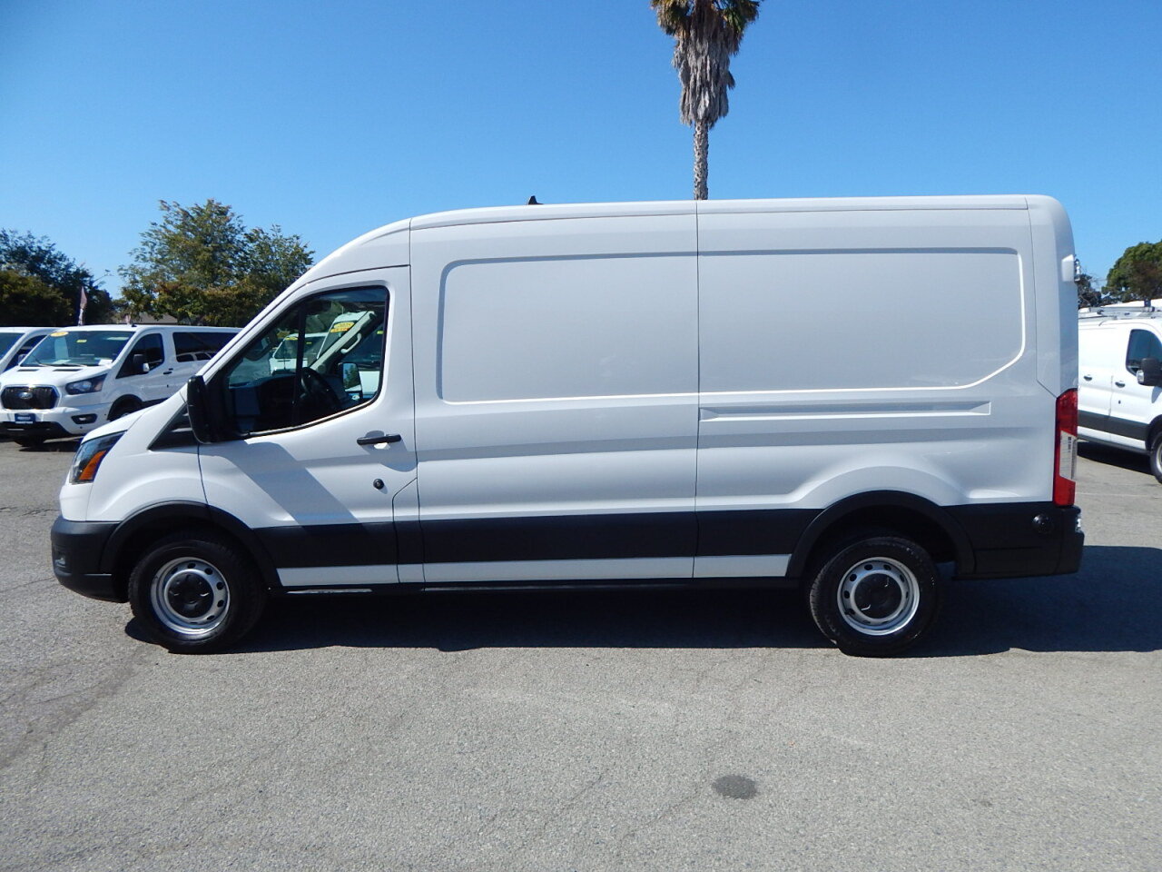 Used 2025 Ford Transit 250 148 Medium Roof RWD image 5