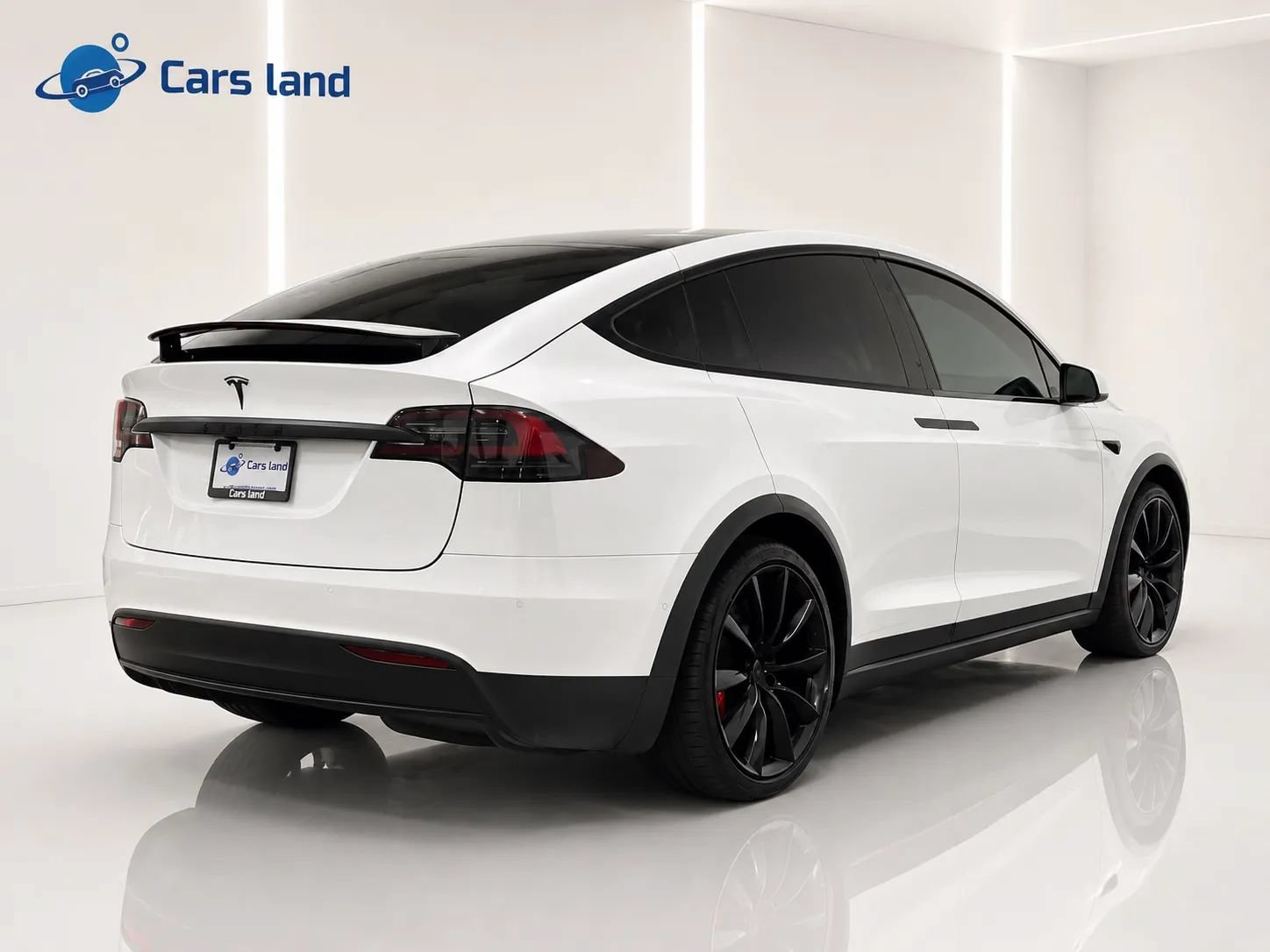 Used 2019 Tesla Model X Performance AWD/4WD image 3