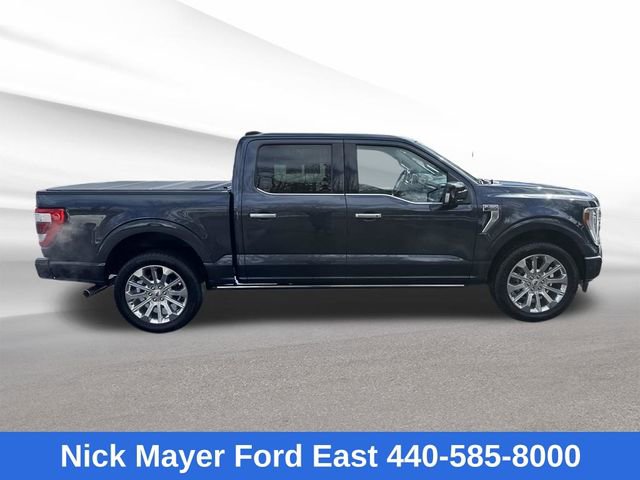 Used 2022 Ford F150 Limited image 8