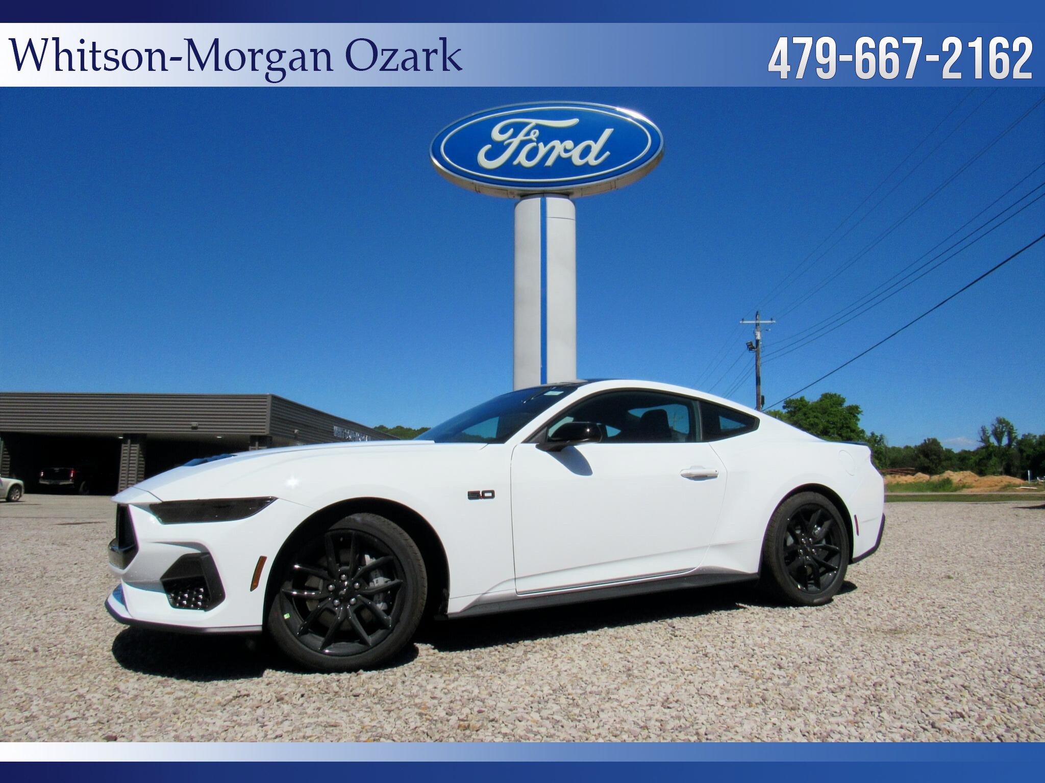 New 2026 Ford Mustang GT w/ Mustang Nite Pony Package RWD image 1