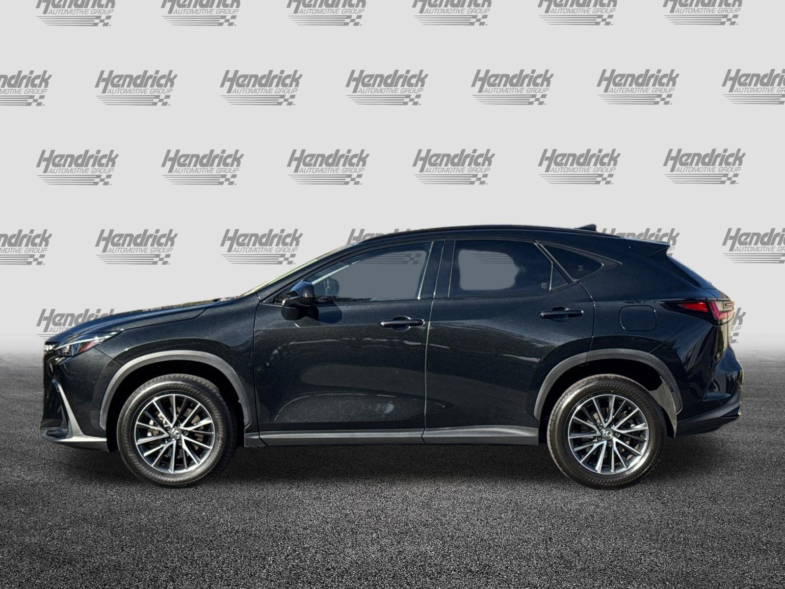 Certified 2024 Lexus NX 350h AWD w/ Cold Area Package image 8