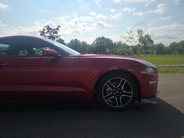 Used 2023 Ford Mustang Coupe w/ Equipment Group 101A RWD image 4