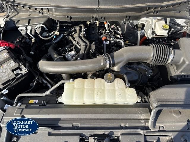 New 2025 Ford F150 Platinum w/ Equipment Group 702A High image 22