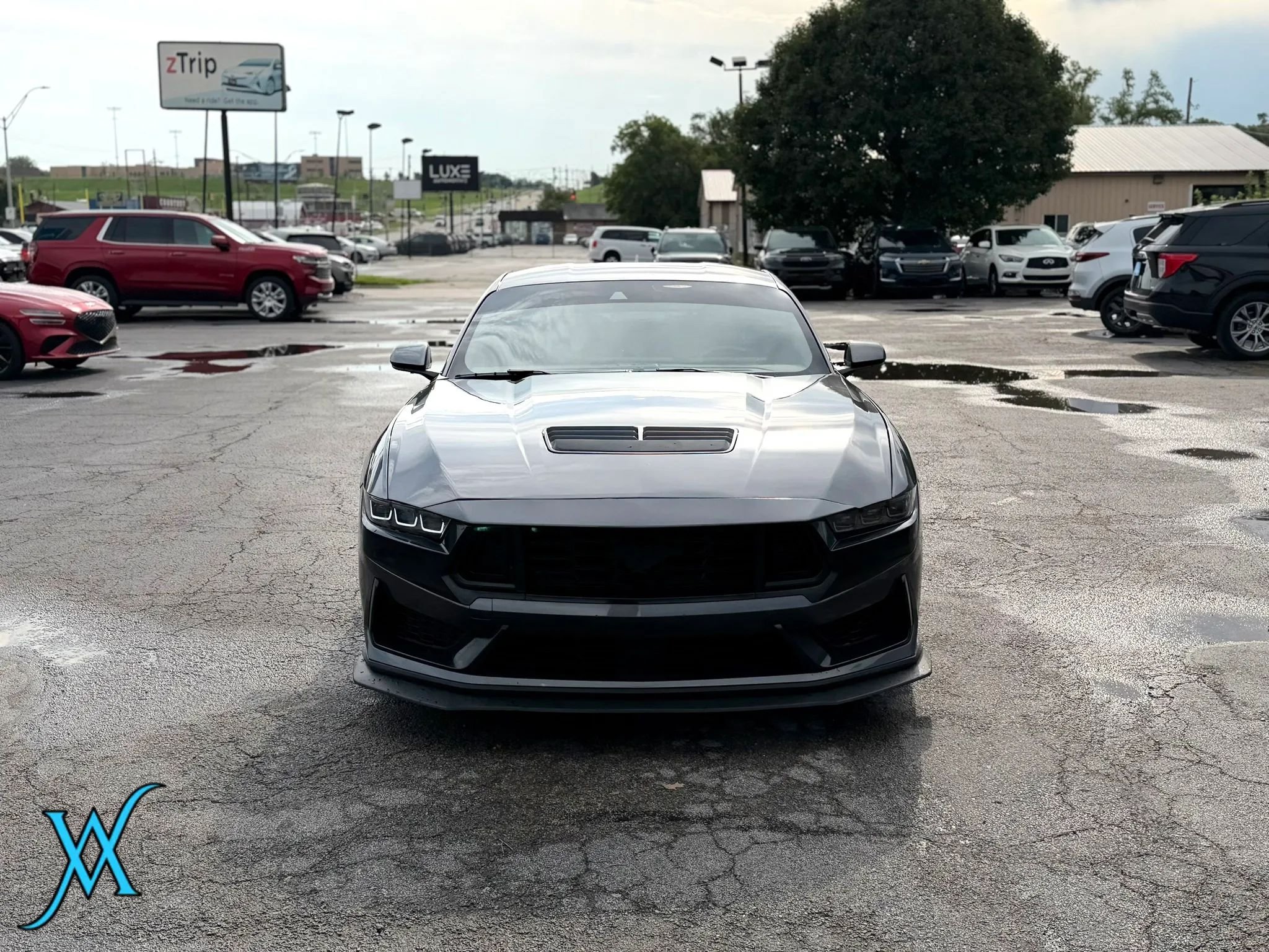 Used 2025 Ford Mustang GT RWD image 2