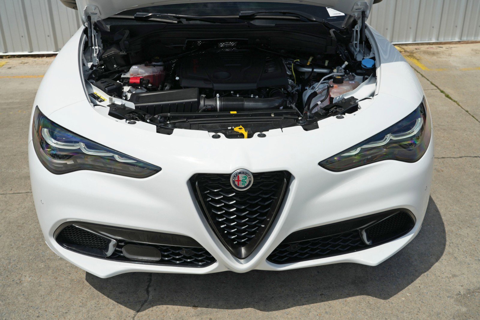 Used 2024 Alfa Romeo Stelvio Sprint image 6