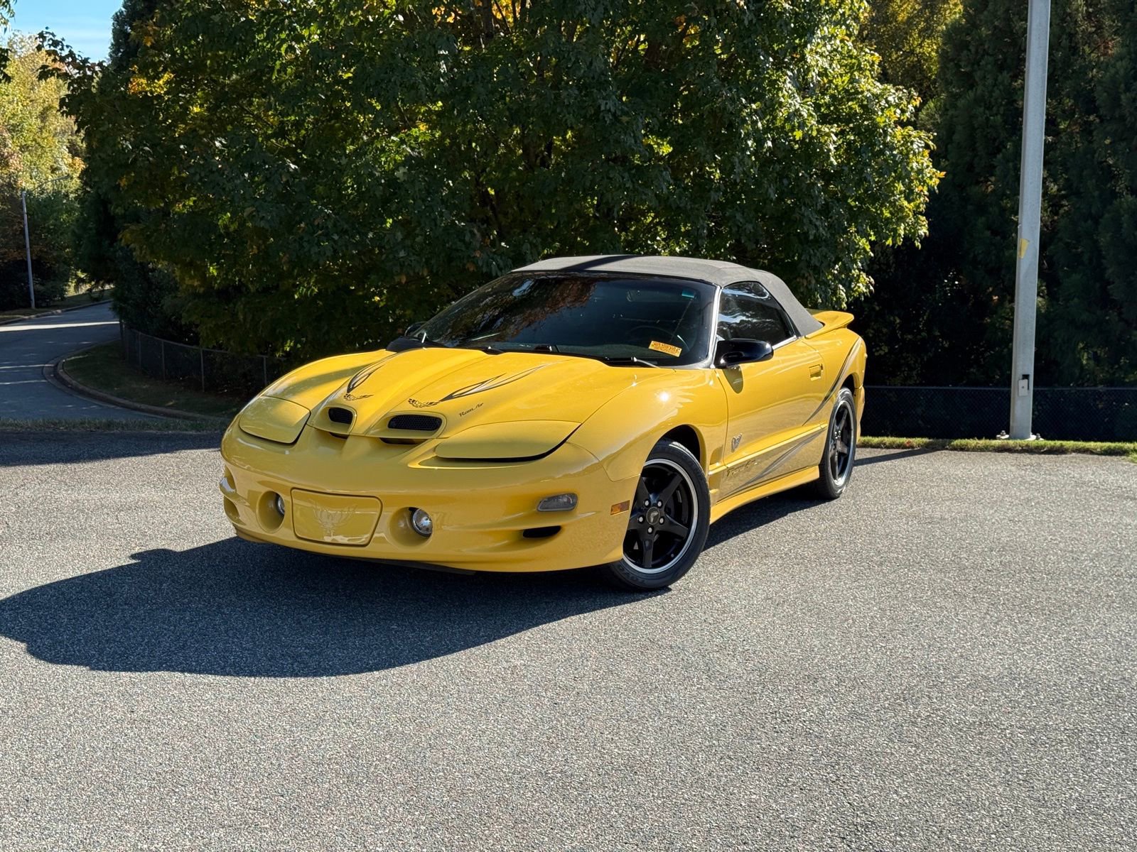 Used 2002 Pontiac Firebird Trans Am