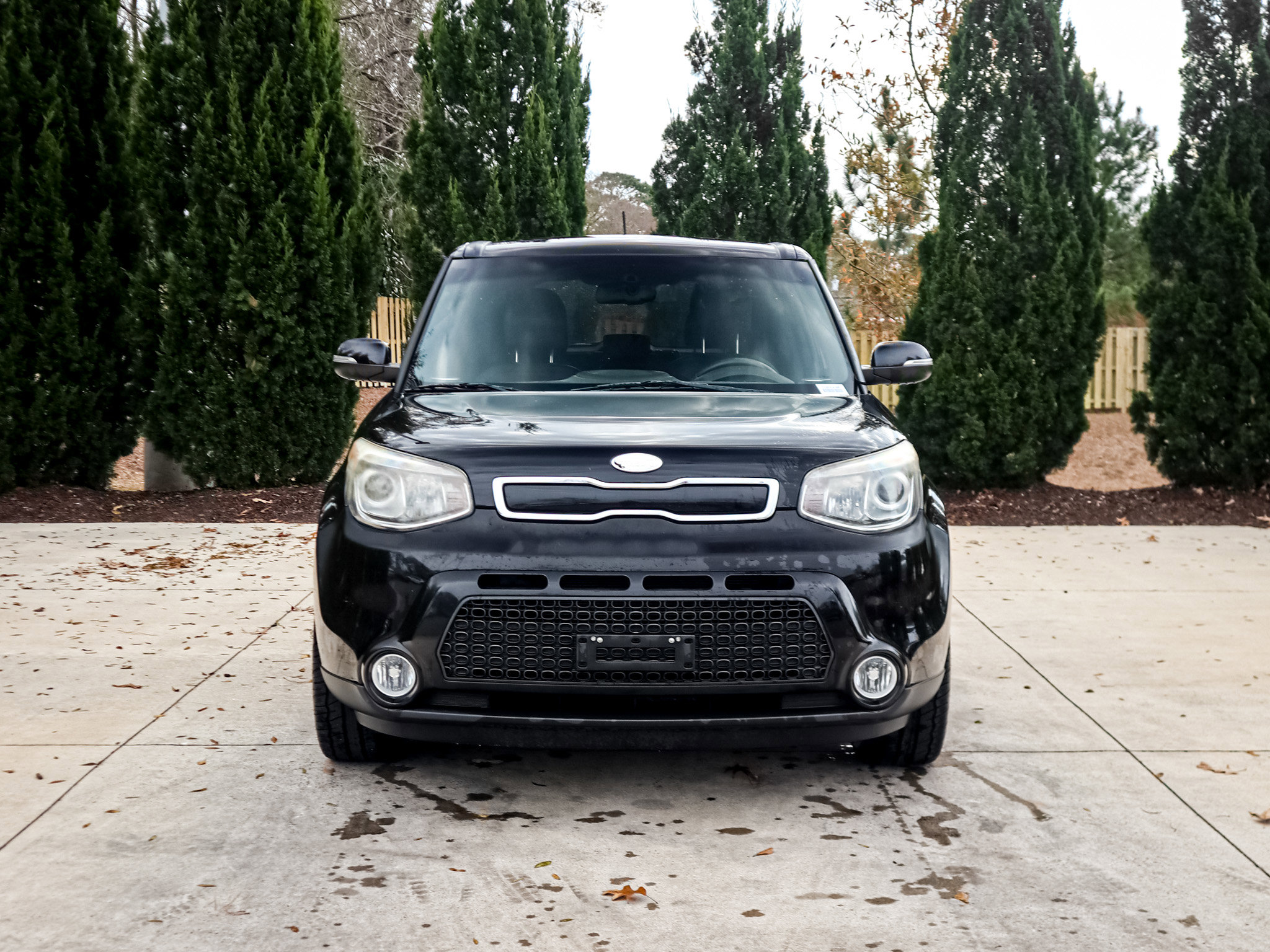 Used 2014 Kia Soul ! w/ Sun & Sound Package image 3