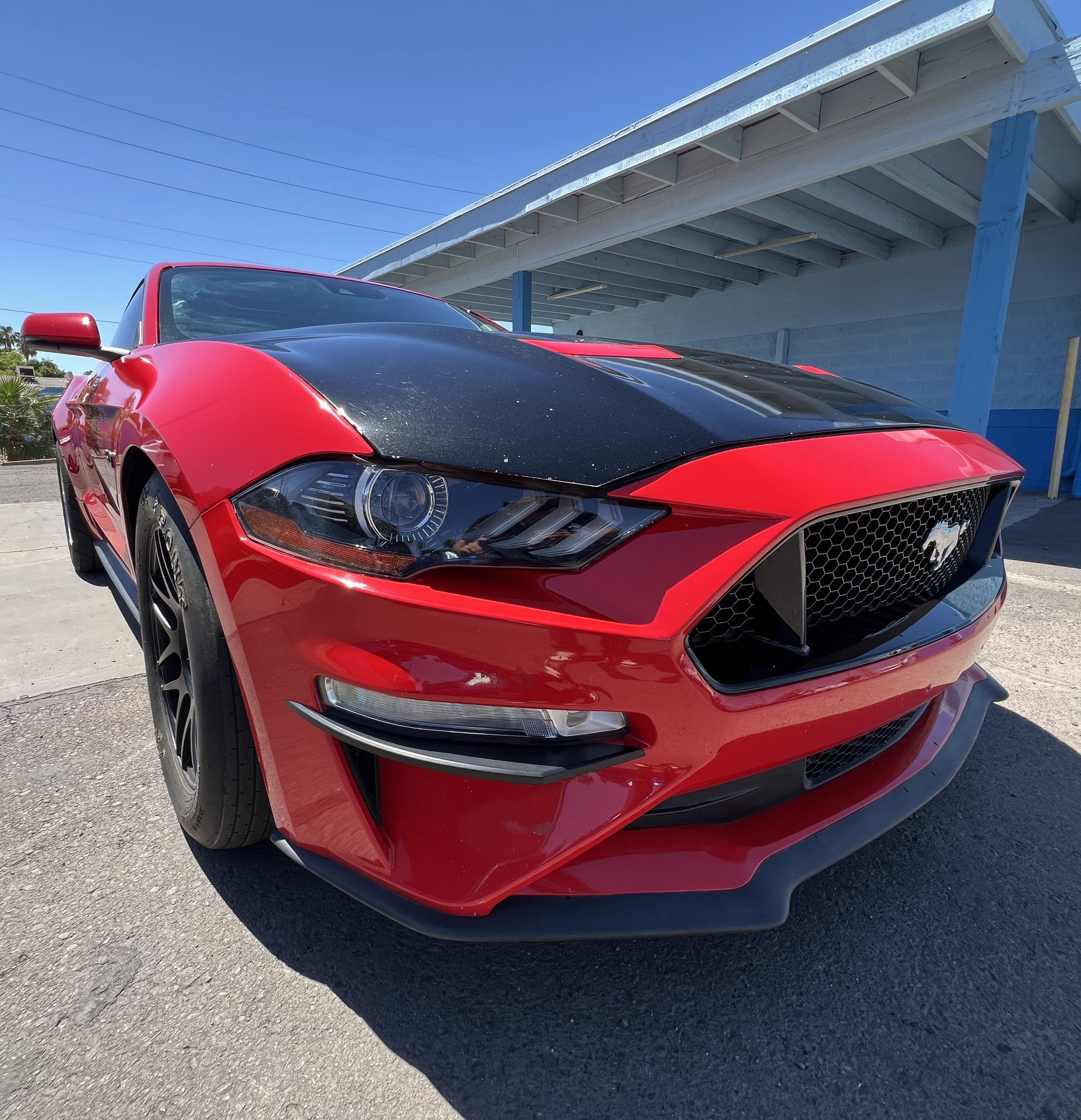 Used 2019 Ford Mustang GT Premium w/ Ford Safe & Smart Package image 1
