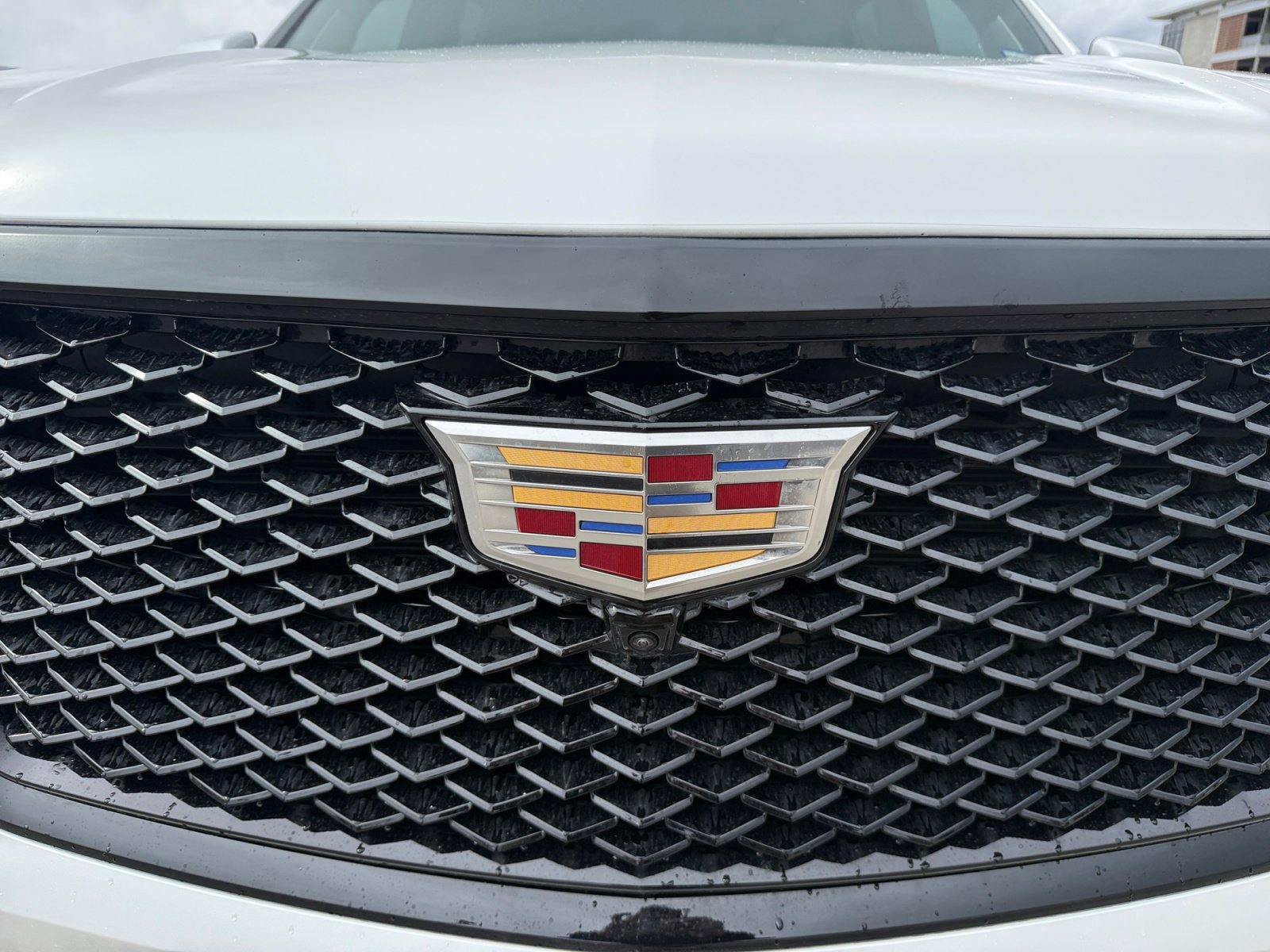 Used 2025 Cadillac Escalade ESV Sport Platinum w/ LPO, Floor Liner Package image 23