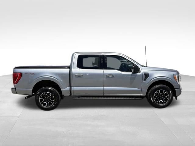 Used 2023 Ford F150 XLT w/ Equipment Group 302A High AWD/4WD image 8