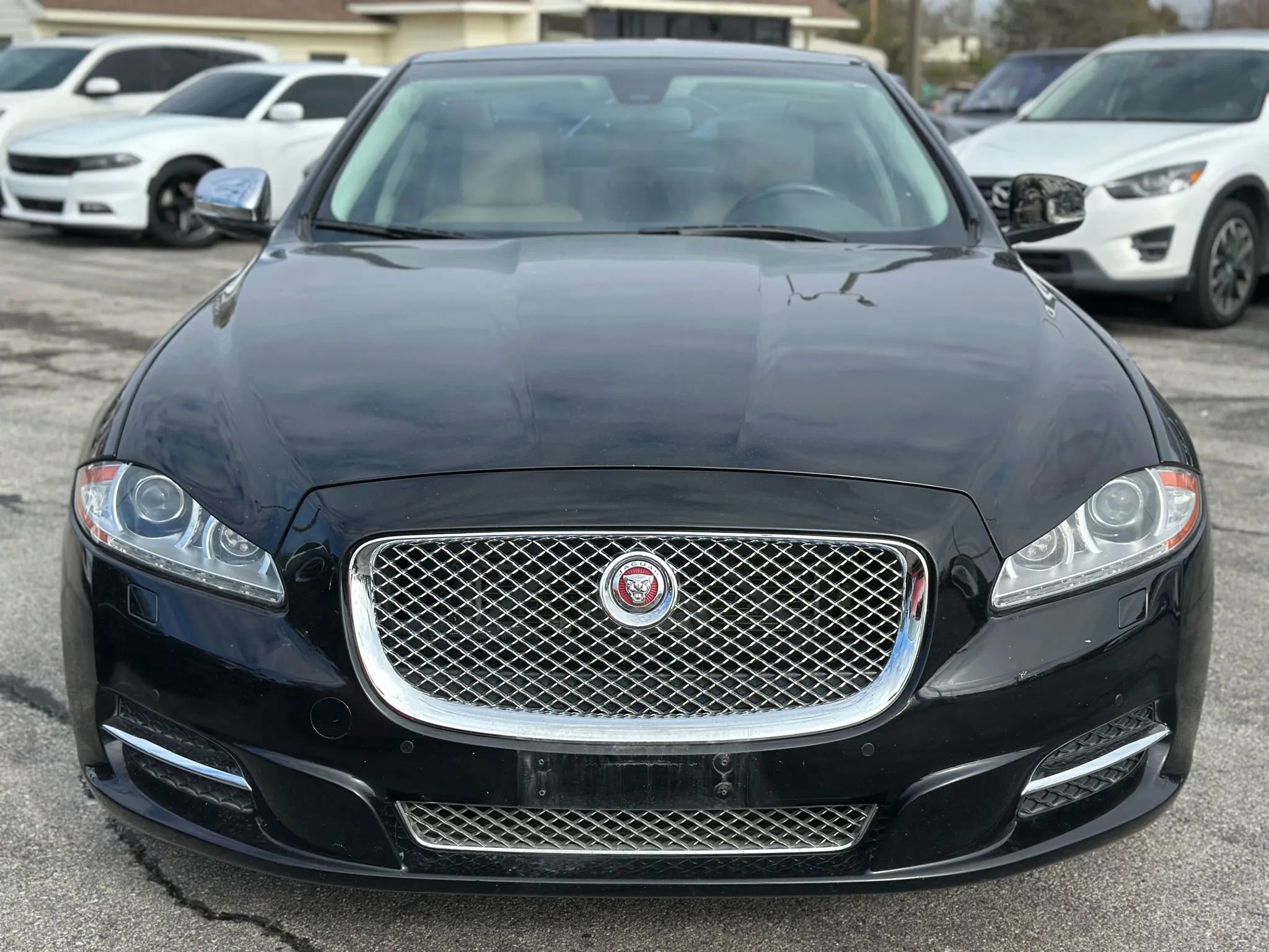 Used 2013 Jaguar XJ image 3