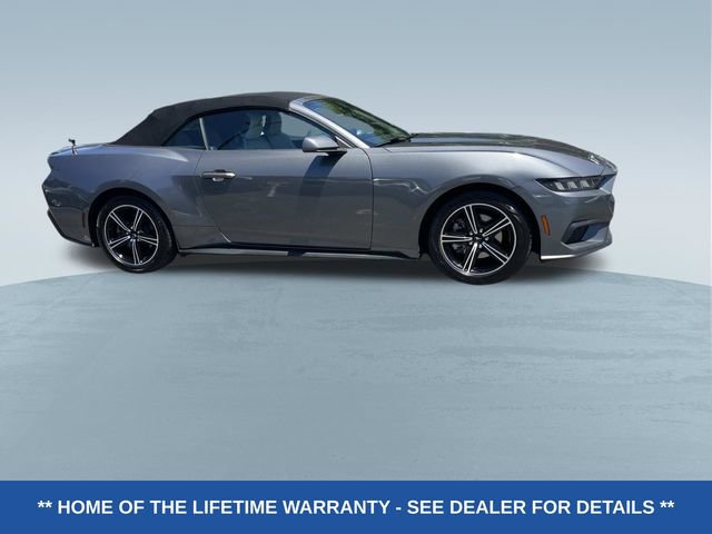Used 2024 Ford Mustang Premium RWD image 2