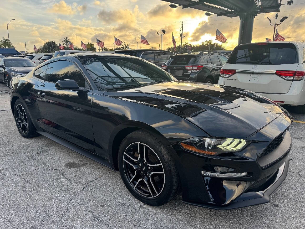 Used 2020 Ford Mustang Premium image 6