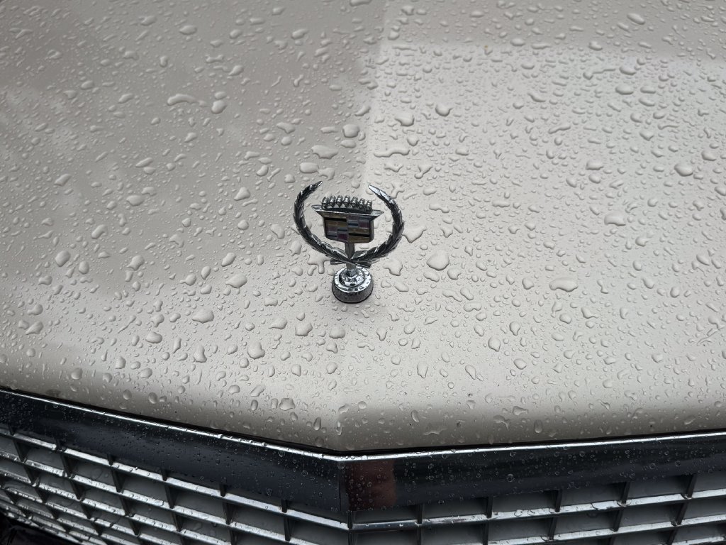 Used 1989 Cadillac Eldorado Coupe FWD image 37