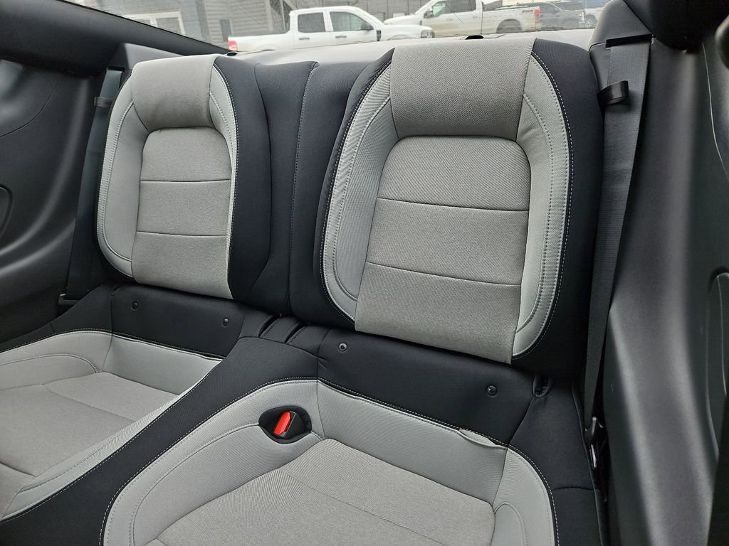 New 2026 Ford Mustang Coupe w/ Bronze Appearance Package image 19