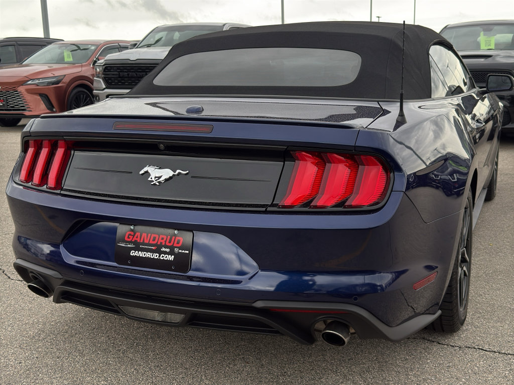 Used 2019 Ford Mustang Premium RWD image 5