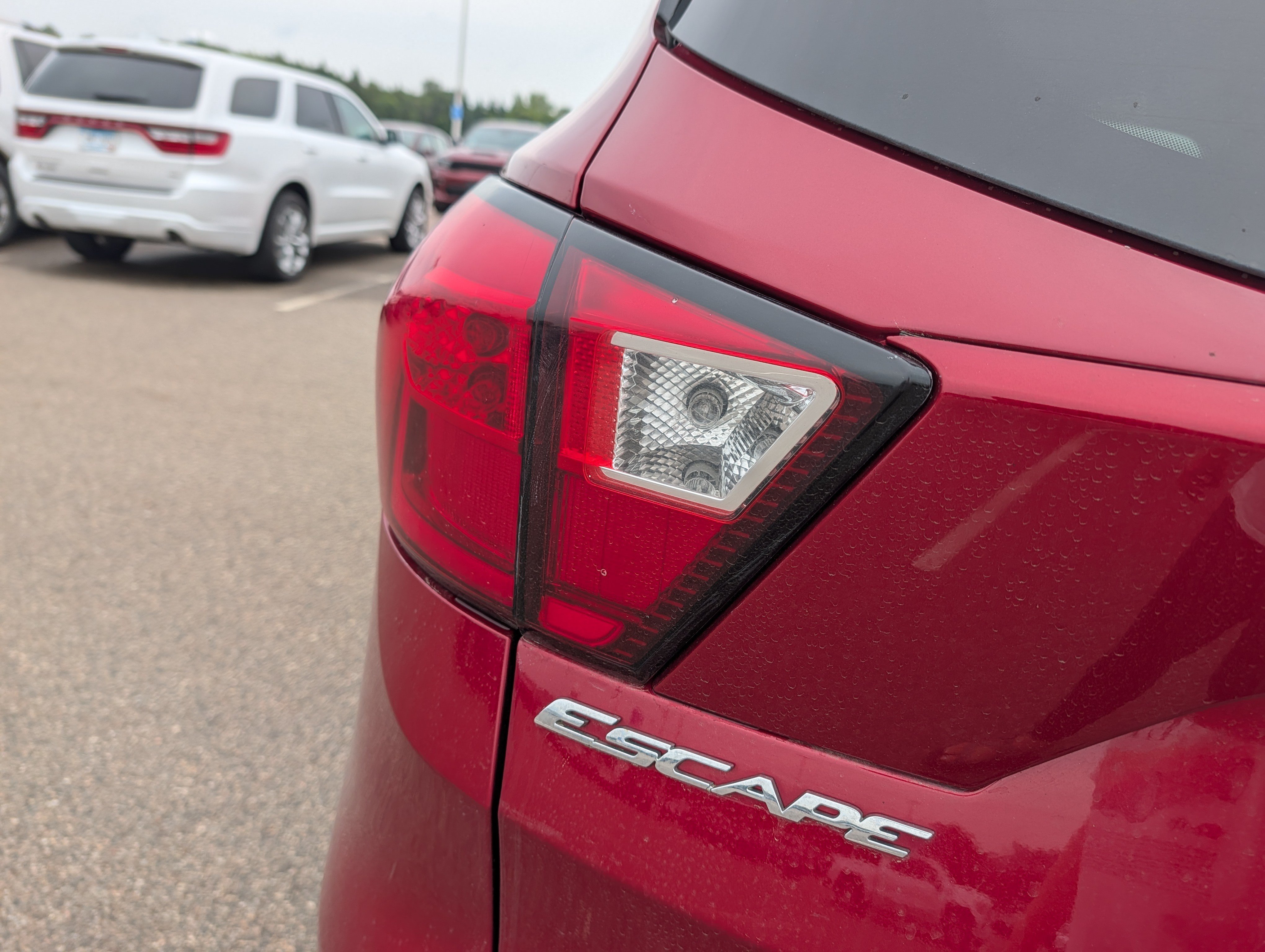 Used 2019 Ford Escape SEL AWD/4WD image 5