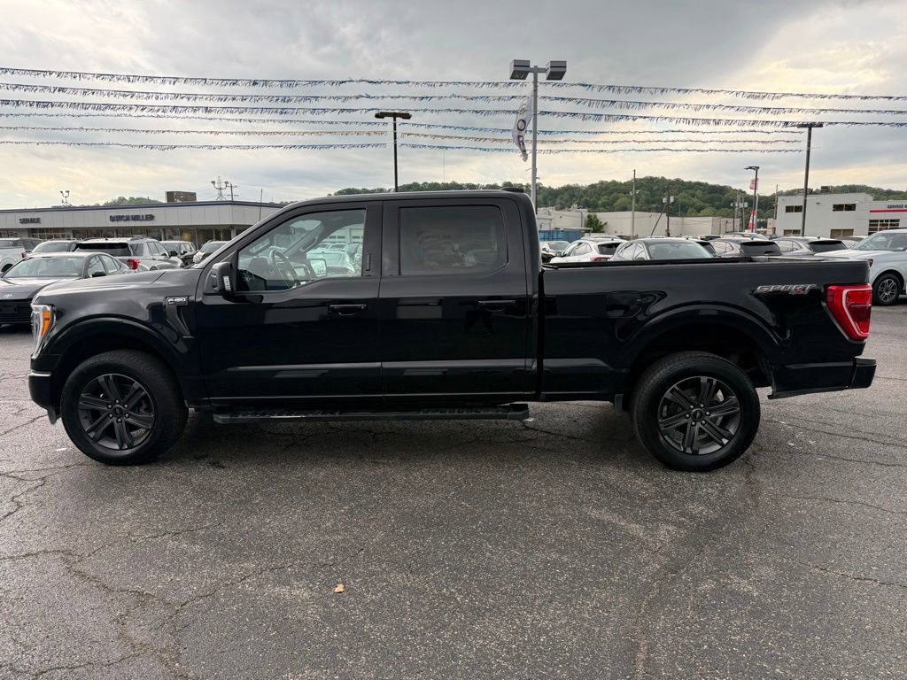 Used 2023 Ford F150 XLT w/ Equipment Group 302A High AWD/4WD image 6