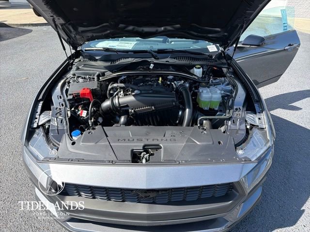 New 2026 Ford Mustang Premium w/ Mustang Nite Pony Package image 16