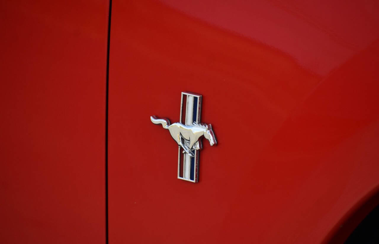 Used 2003 Ford Mustang Mach 1 image 8