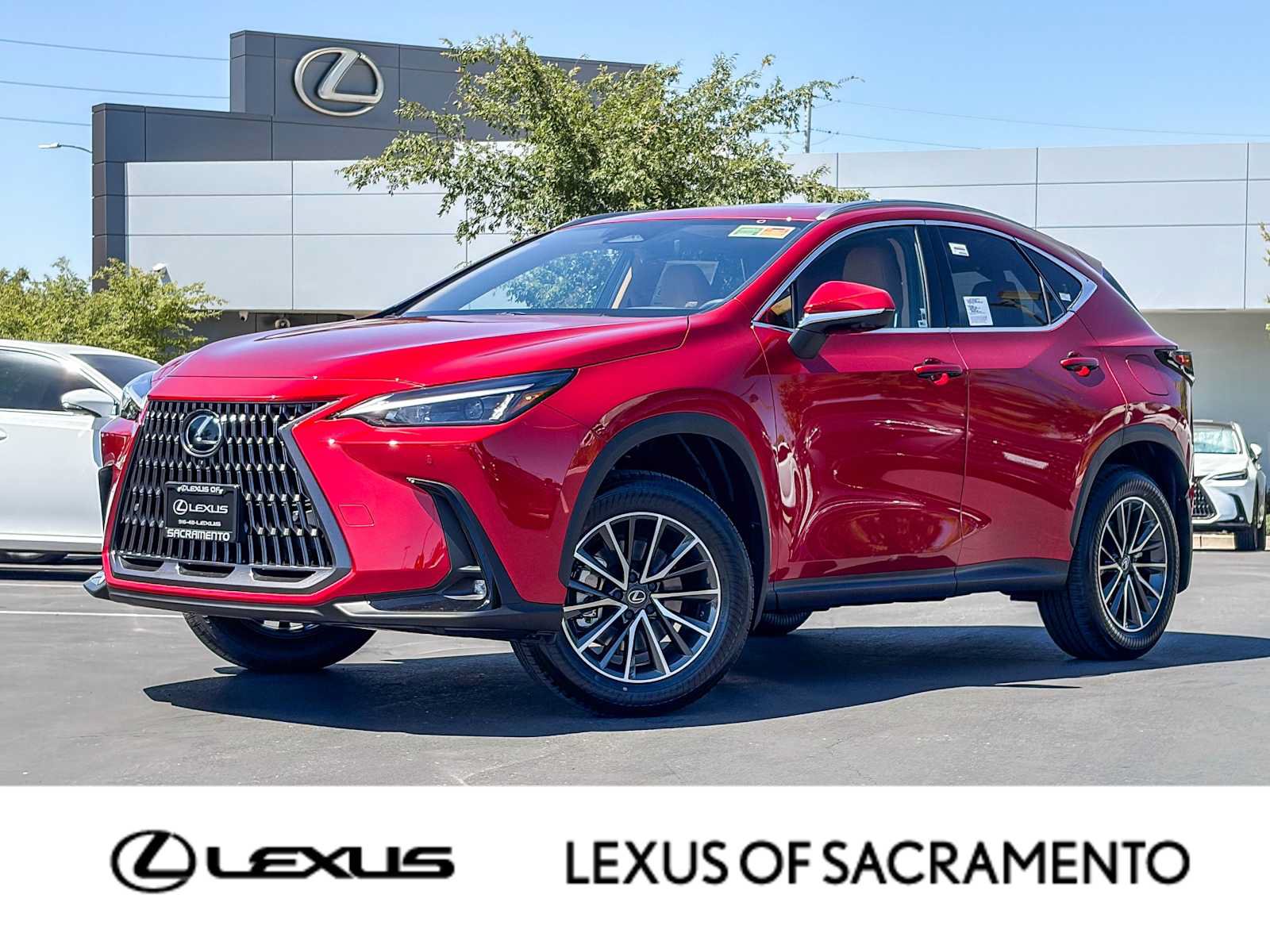 New 2026 Lexus NX 350h AWD w/ Premium Package