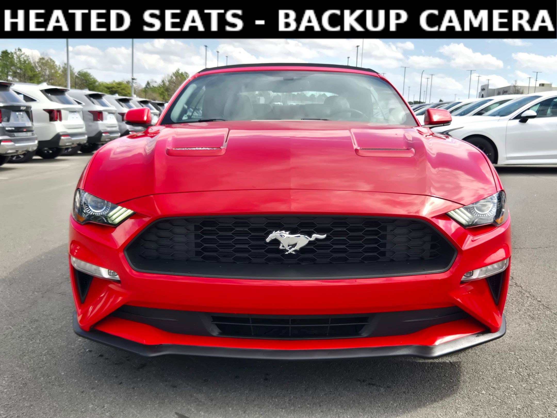 Used 2019 Ford Mustang Premium image 2