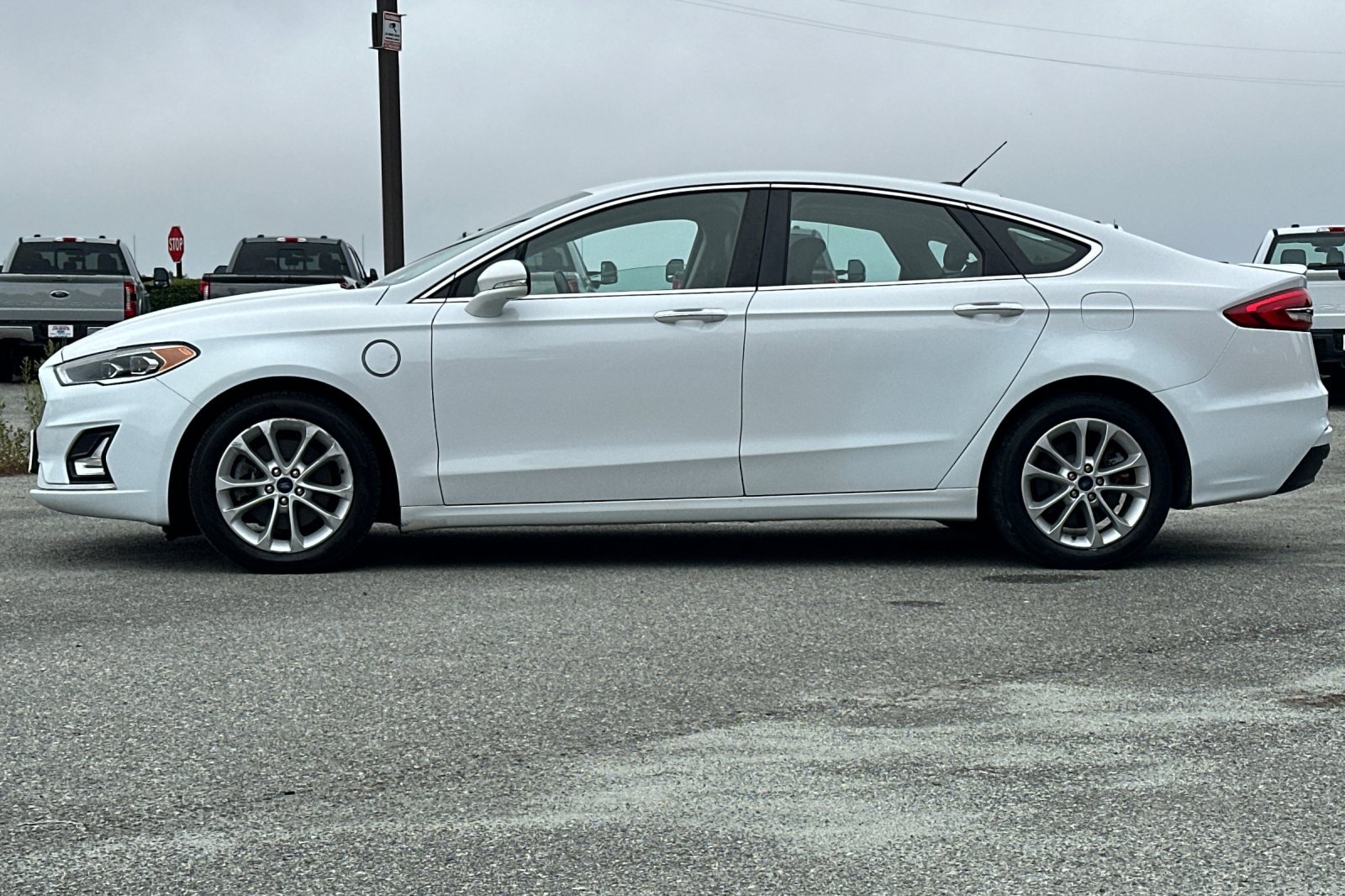 Used 2019 Ford Fusion Energi Titanium FWD image 2