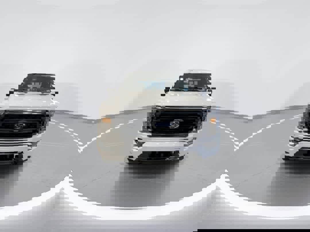 Used 2023 Ford F150 XLT w/ Equipment Group 302A High image 3