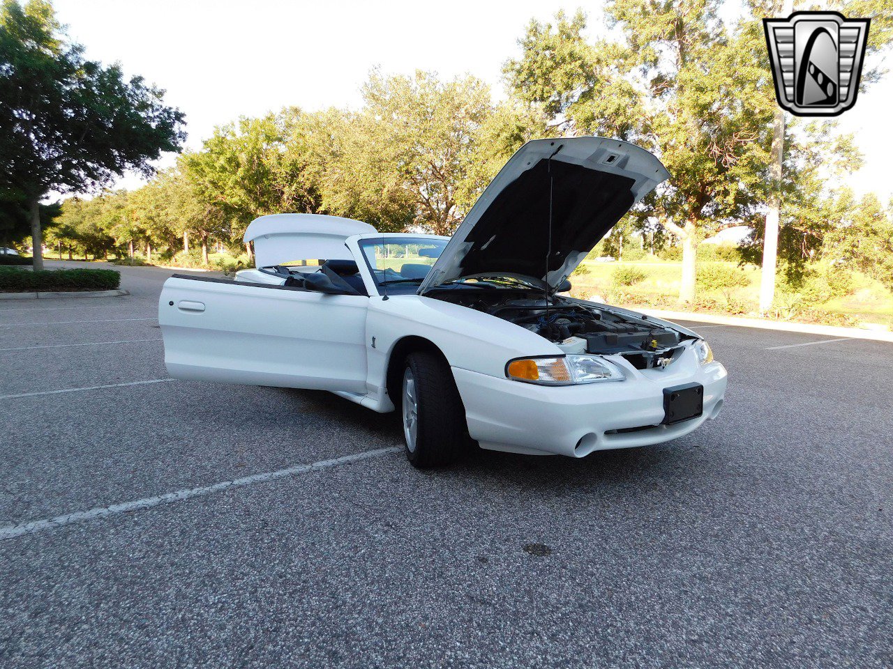 Used 1997 Ford Mustang Cobra image 23