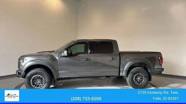 Used 2019 Ford F150 Raptor w/ Equipment Group 802A Luxury image 5