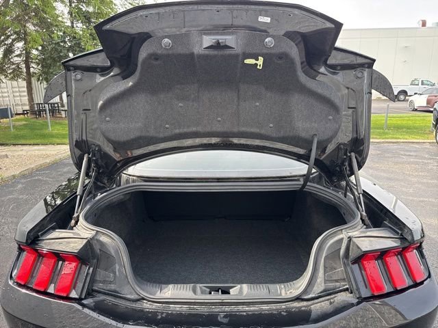 Used 2024 Ford Mustang GT w/ Mustang Nite Pony Package RWD image 7