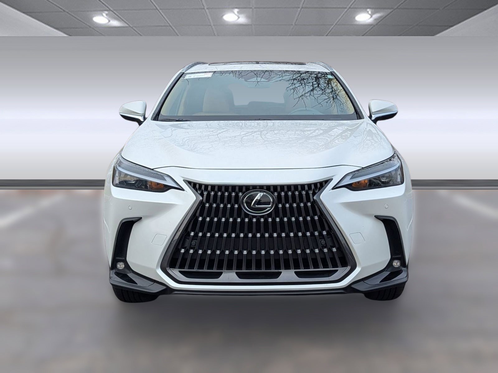 Certified 2025 Lexus NX 350 AWD image 6