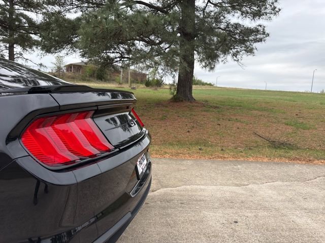 Used 2023 Ford Mustang GT Premium w/ Equipment Group 401A RWD image 13