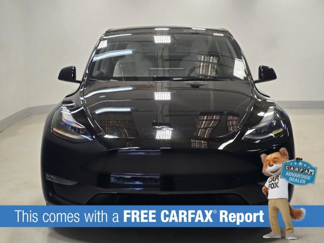 Used 2025 Tesla Model Y Long Range AWD/4WD image 2