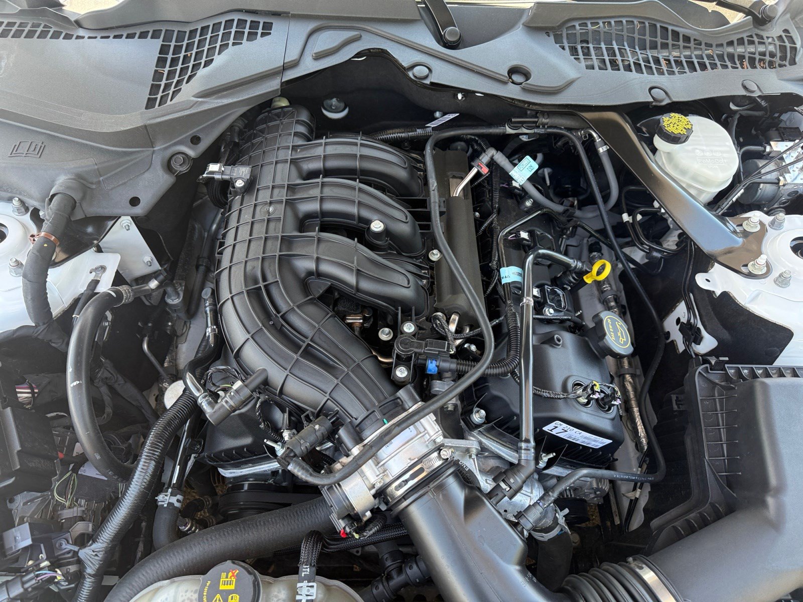 Used 2017 Ford Mustang Convertible RWD image 21
