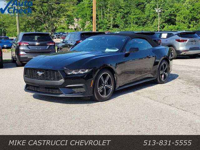 Used 2025 Ford Mustang Premium RWD image 1