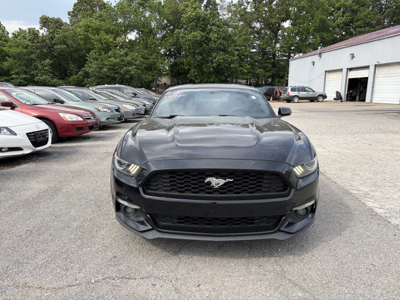 Used 2016 Ford Mustang Premium w/ Wheel & Stripe Package RWD image 3
