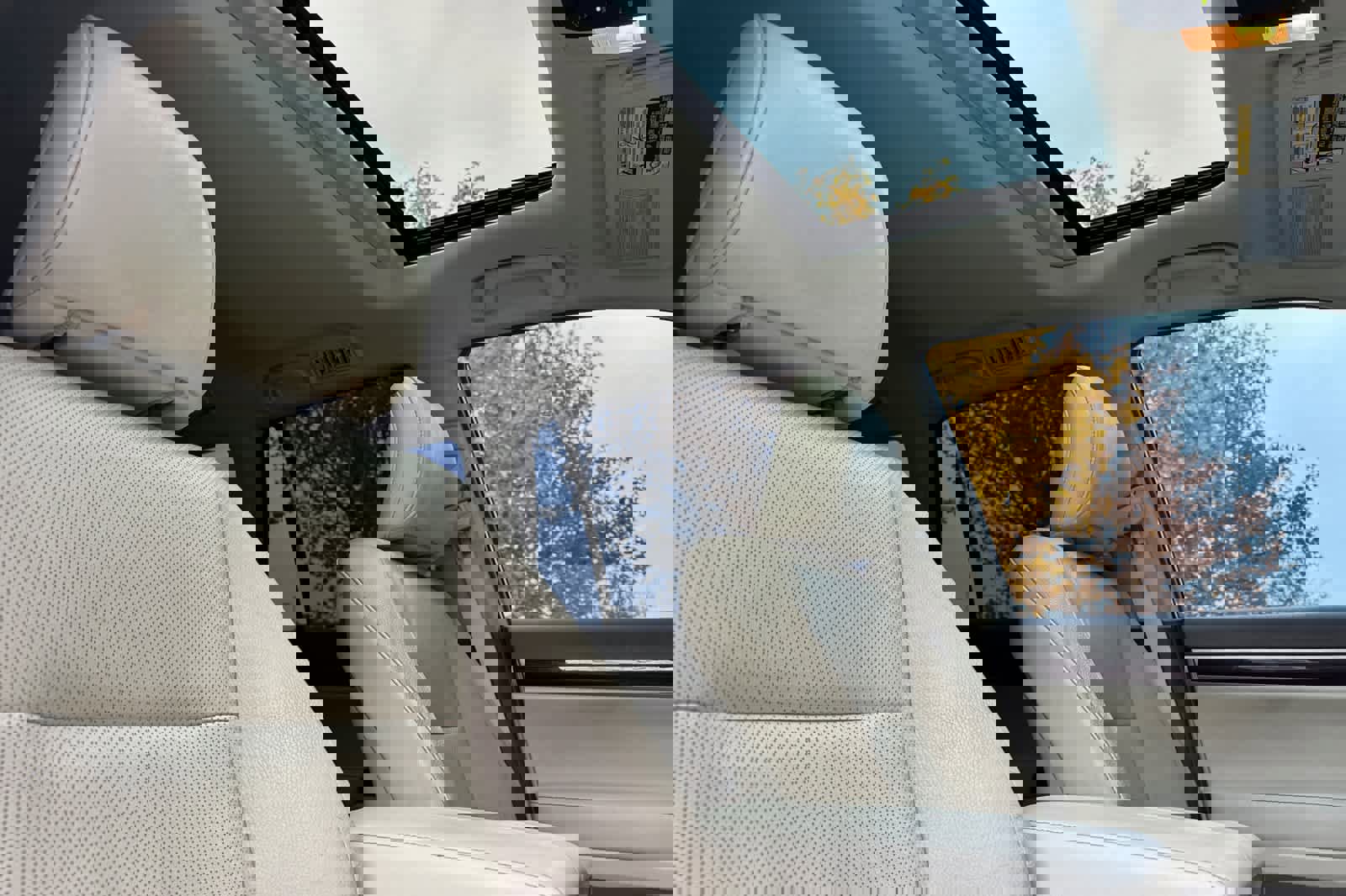 Used 2019 Lexus GX 460 Premium image 18