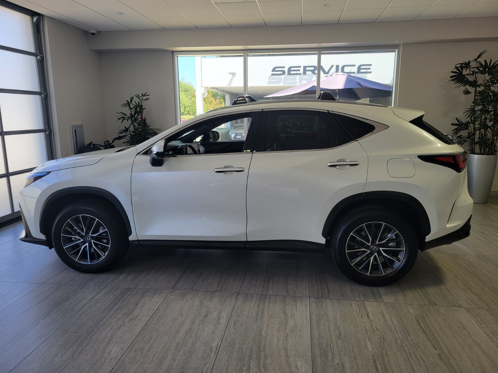 Certified 2025 Lexus NX 350h AWD w/ Cold Area Package image 2