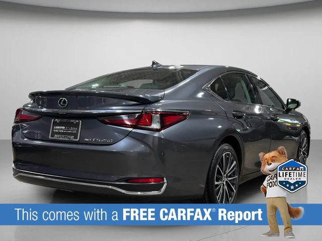 Used 2023 Lexus ES 250 w/ Premium Package AWD/4WD image 4