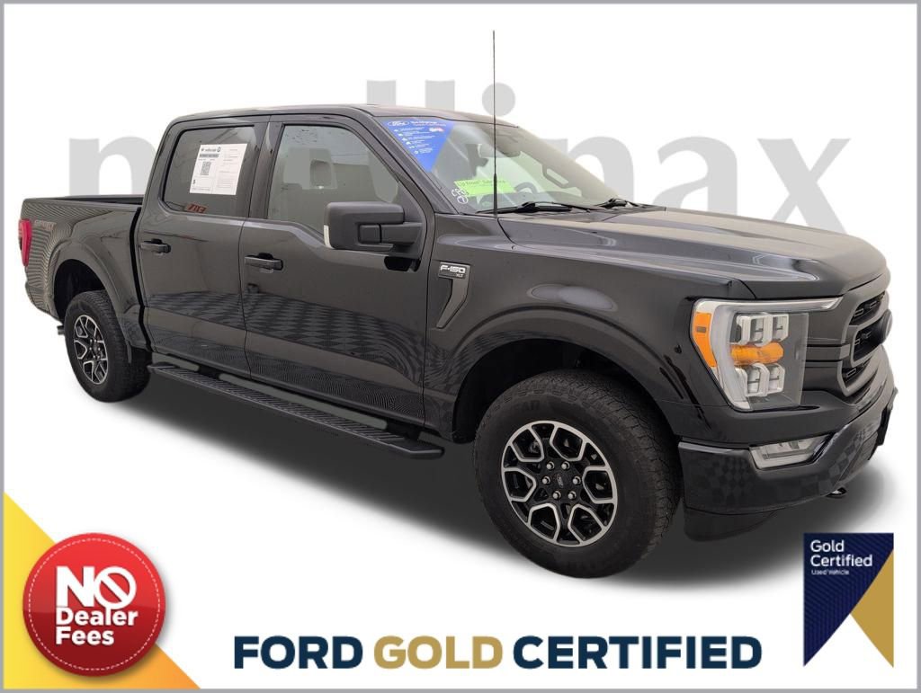 Used 2022 Ford F150 XLT w/ Equipment Group 302A High